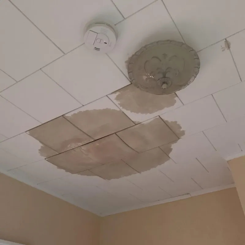 Ceiling Water Damage Repair in Wilder, VT