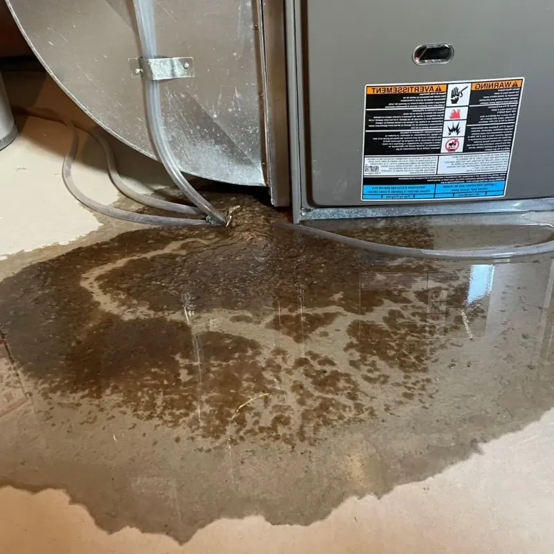Pipe Burst and Leak Restoration in Wilder, VT
